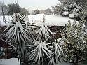 11-02-2012 15h18 51